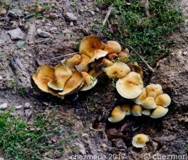 DSC_2270_DxO